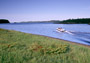 Julies harbour
