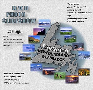 DVD