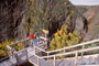 Corner Brook Gorge