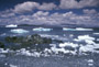 #15 Shore Ice