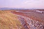 salt marsh