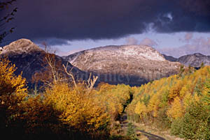Lewis Hills