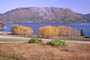 Bonne Bay