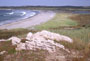 click for enlargement