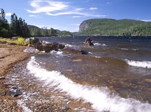 Malady Head
