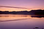 predawn light