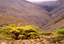 #35 Tablelands